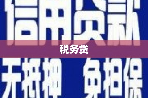漯河税务贷