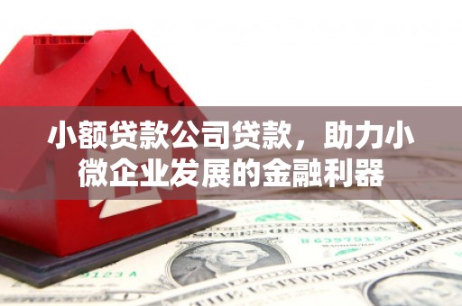 漯河小额贷款公司贷款，助力小微企业发展的金融利器