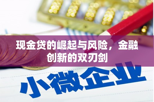 漯河现金贷的崛起与风险，金融创新的双刃剑