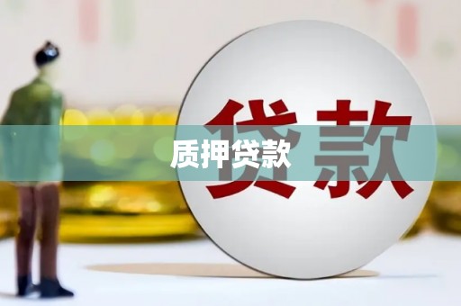 漯河质押贷款