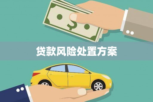 漯河贷款风险处置方案