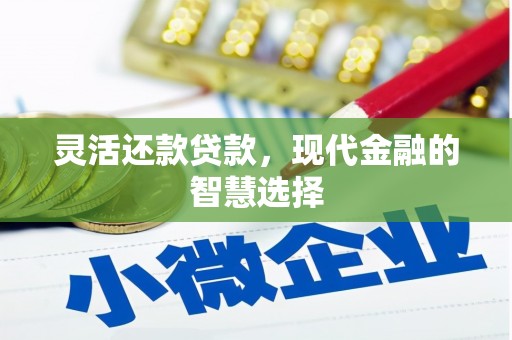 漯河灵活还款贷款，现代金融的智慧选择