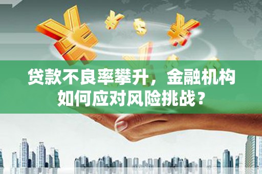 漯河贷款不良率攀升，金融机构如何应对风险挑战？