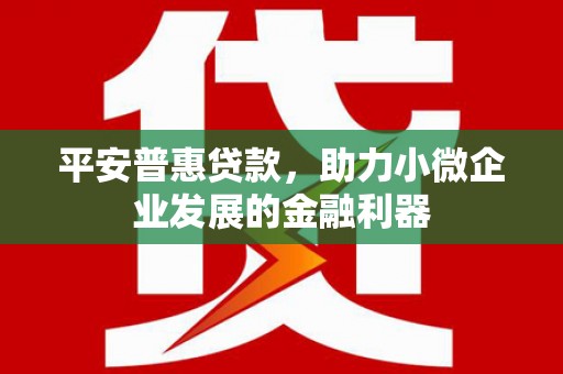 漯河平安普惠贷款，助力小微企业发展的金融利器