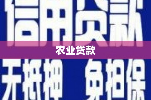 漯河农业贷款