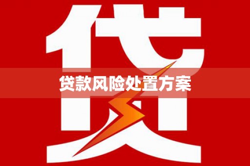 漯河贷款风险处置方案