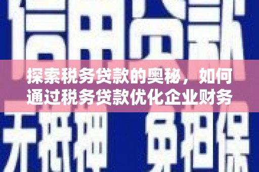 漯河探索税务贷款的奥秘，如何通过税务贷款优化企业财务