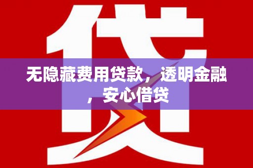 漯河无隐藏费用贷款，透明金融，安心借贷