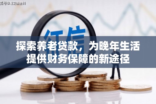 漯河探索养老贷款，为晚年生活提供财务保障的新途径