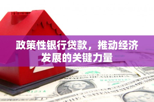 漯河政策性银行贷款，推动经济发展的关键力量