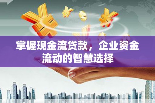 漯河掌握现金流贷款，企业资金流动的智慧选择