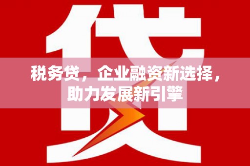 漯河税务贷，企业融资新选择，助力发展新引擎