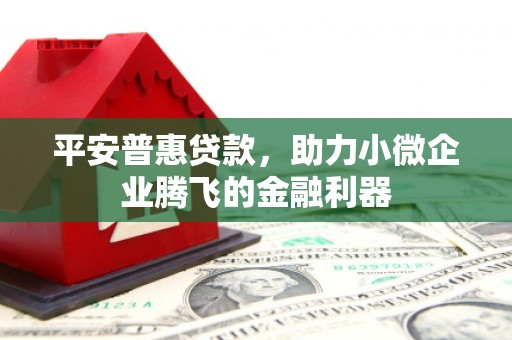 漯河平安普惠贷款，助力小微企业腾飞的金融利器