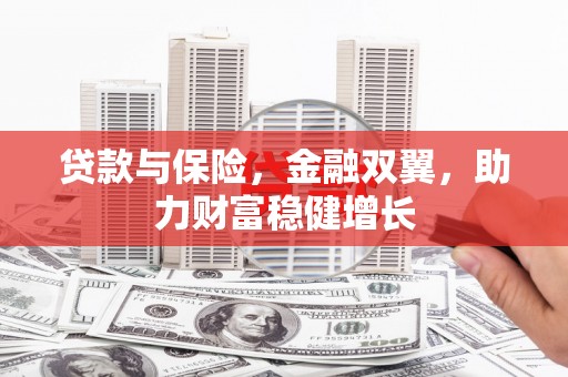 漯河贷款与保险，金融双翼，助力财富稳健增长
