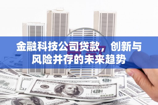 漯河金融科技公司贷款，创新与风险并存的未来趋势