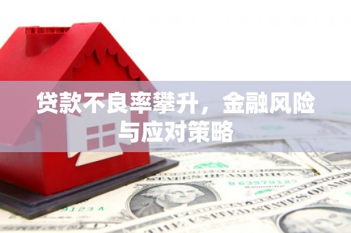 漯河贷款不良率攀升，金融风险与应对策略