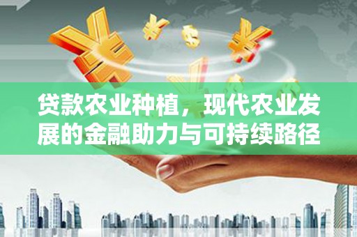 漯河贷款农业种植，现代农业发展的金融助力与可持续路径