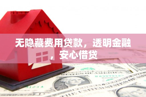 漯河无隐藏费用贷款，透明金融，安心借贷