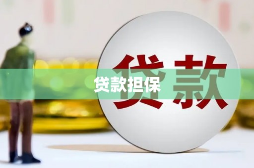 漯河贷款担保