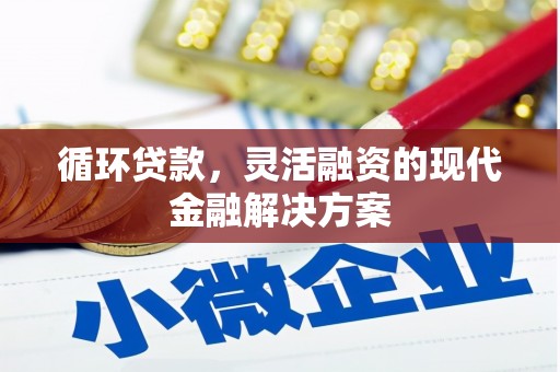 漯河循环贷款，灵活融资的现代金融解决方案