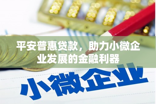 漯河平安普惠贷款，助力小微企业发展的金融利器