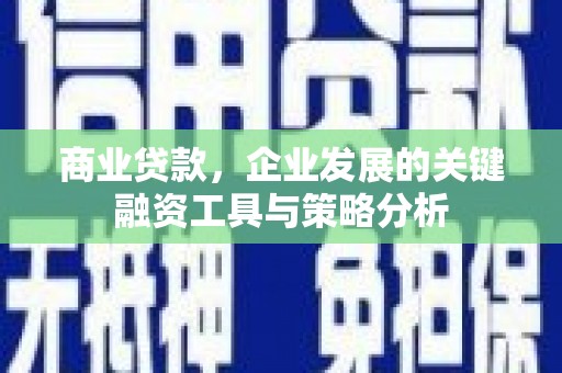 漯河商业贷款，企业发展的关键融资工具与策略分析