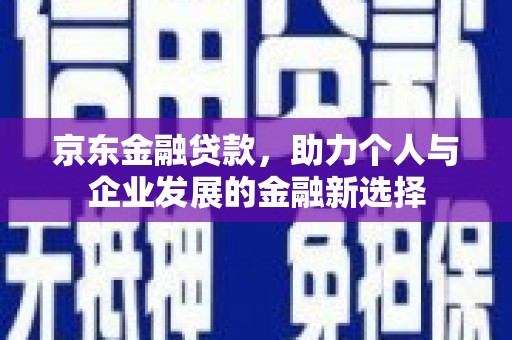 漯河京东金融贷款，助力个人与企业发展的金融新选择