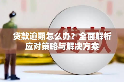 漯河贷款逾期怎么办？全面解析应对策略与解决方案