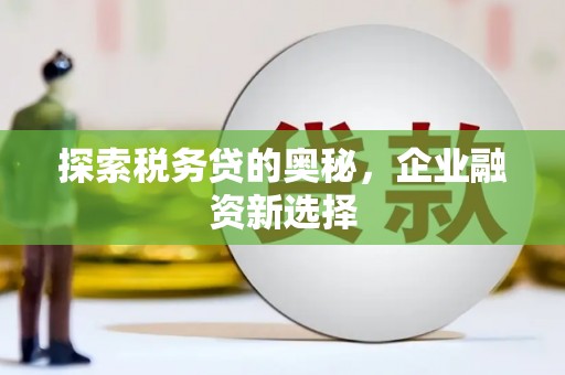 漯河探索税务贷的奥秘，企业融资新选择