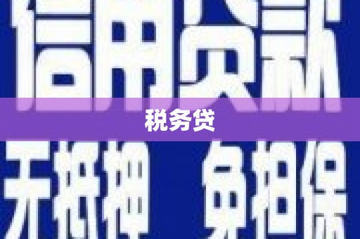 漯河税务贷