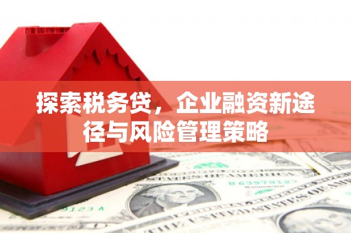 漯河探索税务贷，企业融资新途径与风险管理策略