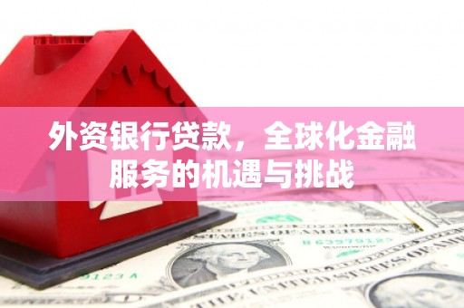 漯河外资银行贷款，全球化金融服务的机遇与挑战