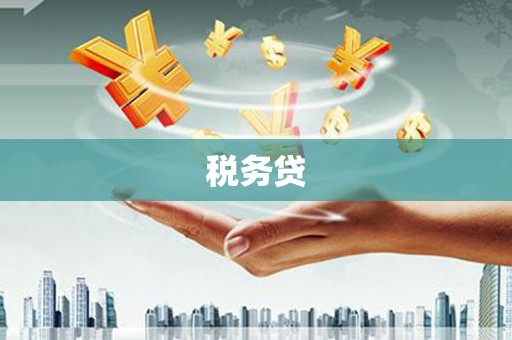 漯河税务贷