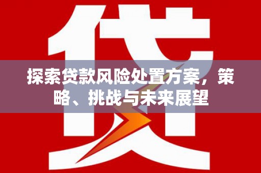 漯河探索贷款风险处置方案，策略、挑战与未来展望