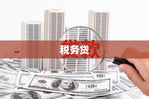 漯河税务贷