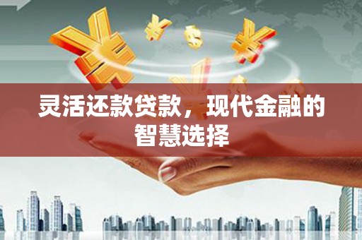 漯河灵活还款贷款，现代金融的智慧选择