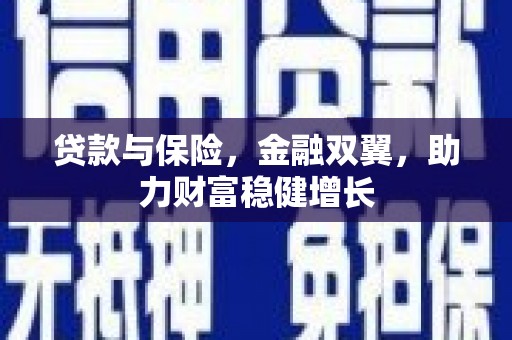 漯河贷款与保险，金融双翼，助力财富稳健增长