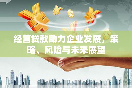 漯河经营贷款助力企业发展，策略、风险与未来展望