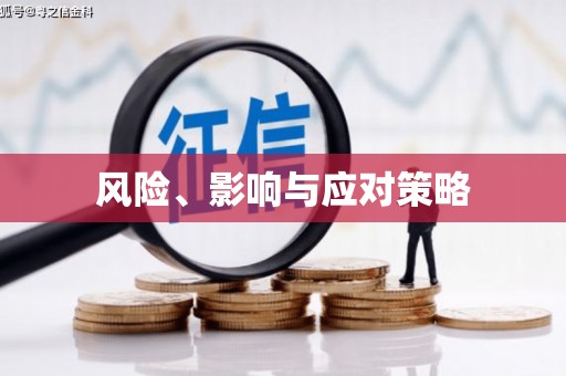 漯河风险、影响与应对策略