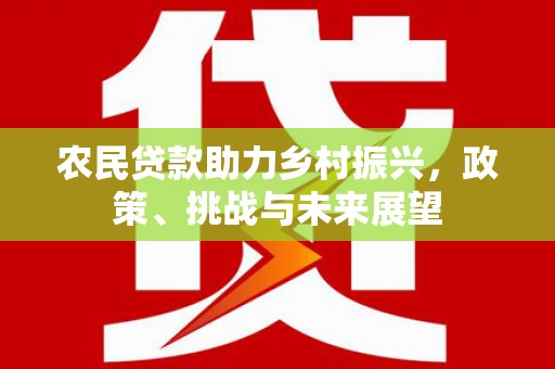漯河农民贷款助力乡村振兴，政策、挑战与未来展望