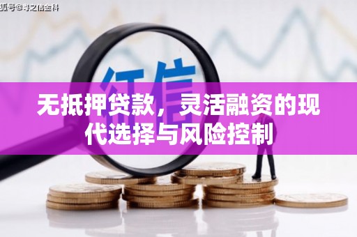 漯河无抵押贷款，灵活融资的现代选择与风险控制