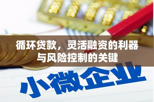 漯河循环贷款，灵活融资的利器与风险控制的关键