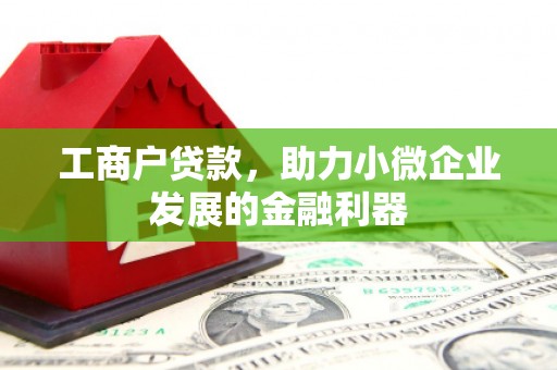 漯河工商户贷款，助力小微企业发展的金融利器