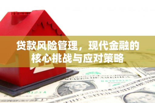 漯河贷款风险管理，现代金融的核心挑战与应对策略