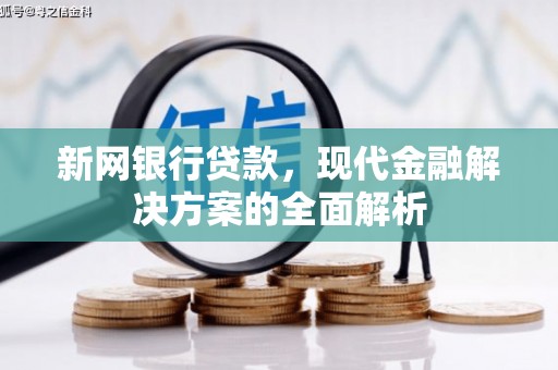漯河新网银行贷款，现代金融解决方案的全面解析