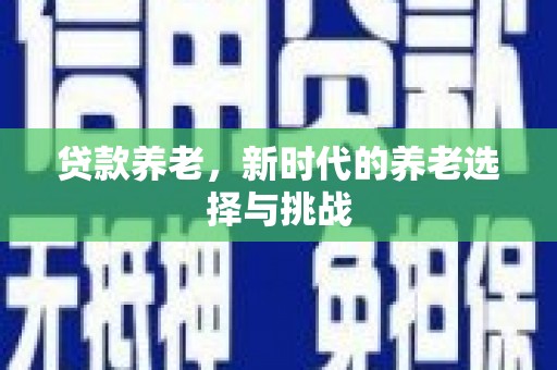 漯河贷款养老，新时代的养老选择与挑战