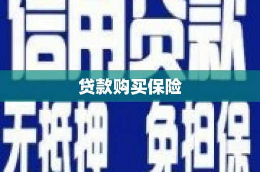 漯河贷款购买保险