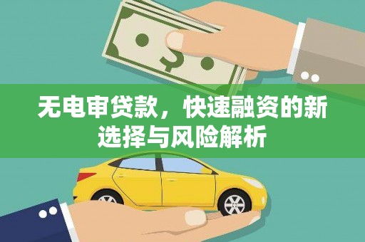 漯河无电审贷款，快速融资的新选择与风险解析