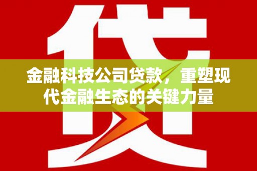 漯河金融科技公司贷款，重塑现代金融生态的关键力量