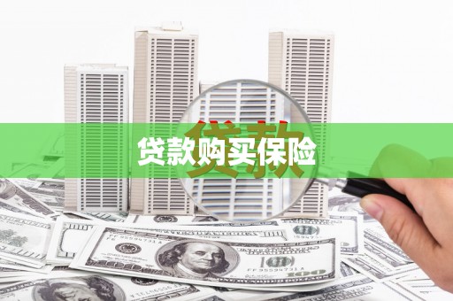 漯河贷款购买保险